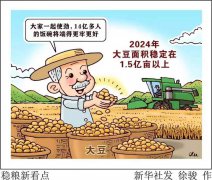新华鲜报丨中国稳粮新看点！ “金豆豆”